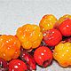 Морошка и рябина из полимерной глины, браслет и серьги. Комплекты украшений. Любимые бусины из полимерной глины (marinaposta). Ярмарка Мастеров.  Фото №5