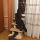 Order Ladder-scratching post to the window.Suitable for dogs. Available in size. Workshop for dogs and cats. Livemaster. . Ladders, steps for animals Фото №3