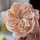 Old English rose David Austin hair. Hair Decoration. Deco-flowers (deco-flowers). Online shopping on My Livemaster.  Фото №2