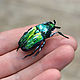 Textile brooch beetle Bronze, Brooches, Pskov,  Фото №1