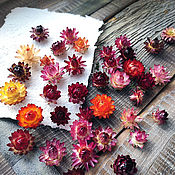 Материалы для творчества handmade. Livemaster - original item Helichrysum, dried flowers AVAILABLE. Handmade.