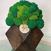Декор: Стабилизированный мох в деревянном кашпо