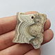 Slice lace agate, 30h30h4, Cabochons, Kursk,  Фото №1