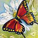 Oil painting Butterfly on a flower, Pictures, Moscow,  Фото №1