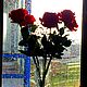  Букет роз с гипсофилой, Букеты, Санкт-Петербург,  Фото №1