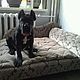 Couch for big dogs Favorit. Lodge. Workshop for dogs and cats. Online shopping on My Livemaster.  Фото №2