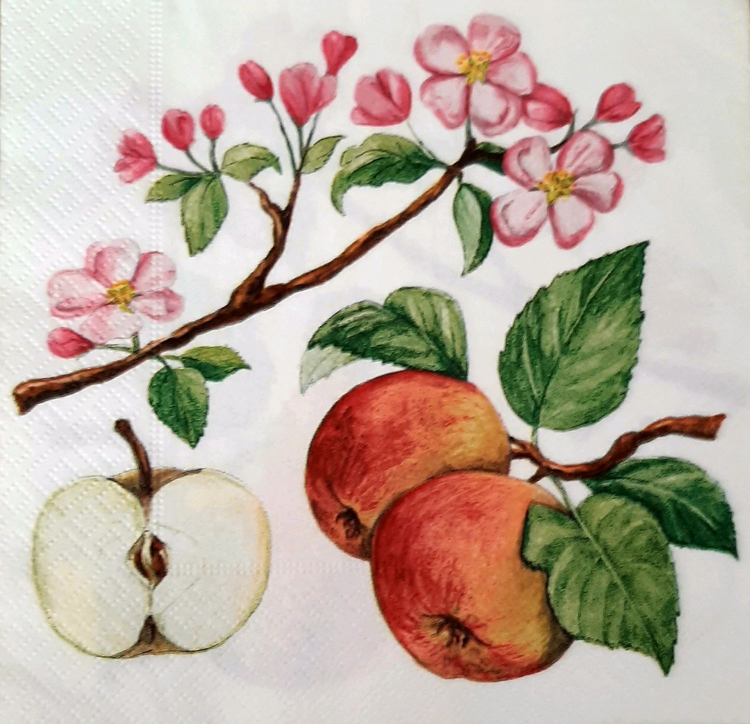 Яблоня карандашом. Рисование ветка яблони. Ветка яблони с яблоками. Рисование Яблоневой ветки. Нарисовать ветку яблони.