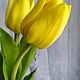 Жёлтые тюльпаны из холодного фарфора, Цветы, Старая Русса,  Фото №1