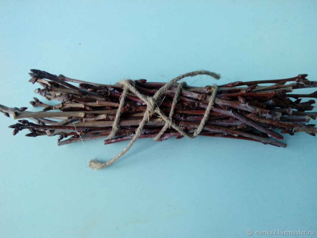 Ветви вишни. Вишневые веточки от чего. Букет вишневых веток. Искусственная ветка. Триол веточки вишни.