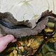 Валяная сумка с подсолнухами. Интерьерная кукла. Ангелина Шерстяная Сказка. Ярмарка Мастеров.  Фото №5