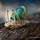 Set of brooches: Miniature snail from the cocoon. Brooch set. Prazukina_Dream. My Livemaster. Фото №5