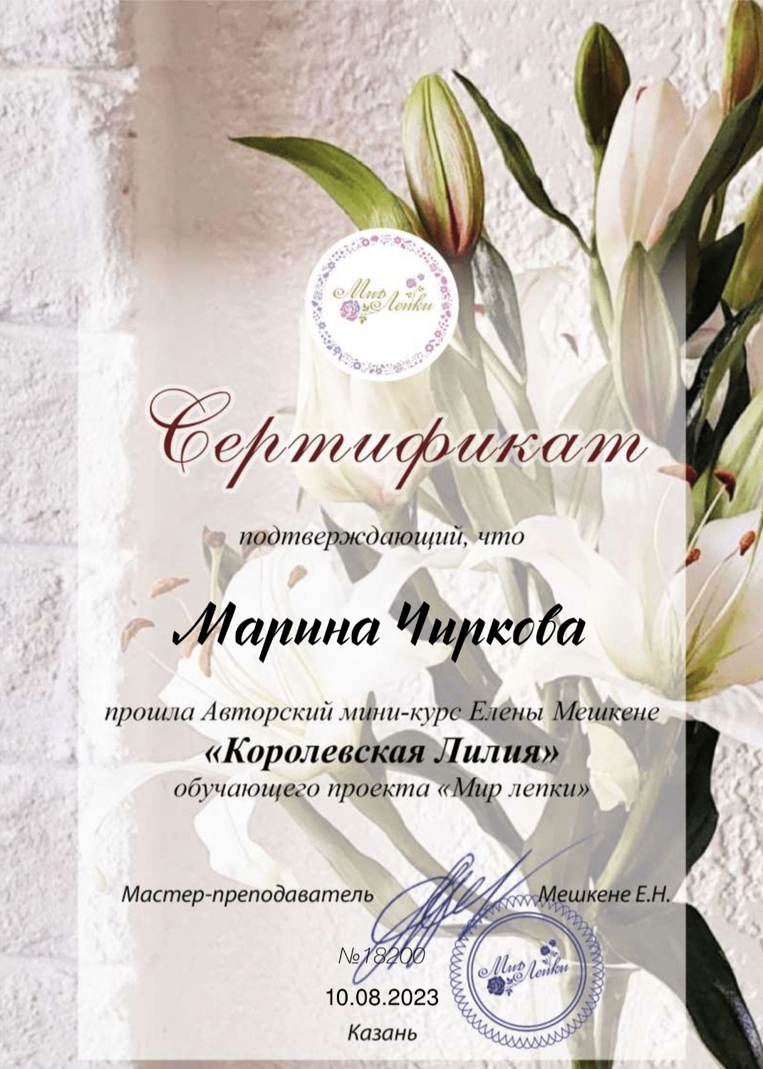 Мой профиль