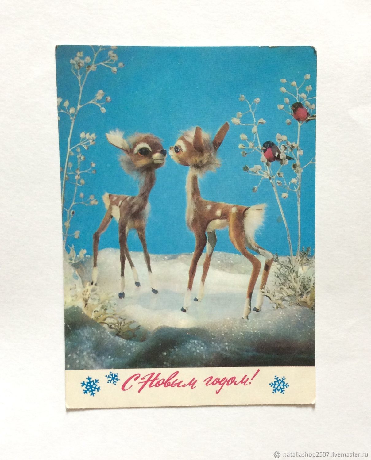 ������� ����������, �������� � 1976