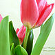 Красные тюльпаны из полимерной глины, Композиции, Никель,  Фото №1