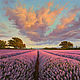 Painting 'Fields of lavender' 32 x 80 cm, Pictures, Rostov-on-Don,  Фото №1