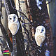 Brooch 'Owl Barn Owl'. Brooch-clip. mira-umka. Online shopping on My Livemaster.  Фото №2
