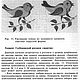 Глубоковская роспись, книга 1994 года. Схемы для вышивки. EcoLife_23. Ярмарка Мастеров.  Фото №6