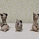 Коты разные от Бруя. Статуэтки. Kladovochka_handmade. Ярмарка Мастеров.  Фото №5
