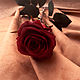 Розы из холодного фарфора и фоамирана, Букеты, Электросталь,  Фото №1