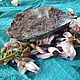 Розовый гранат срез. Минералы. Gems for Art (Indianstones). Ярмарка Мастеров.  Фото №4
