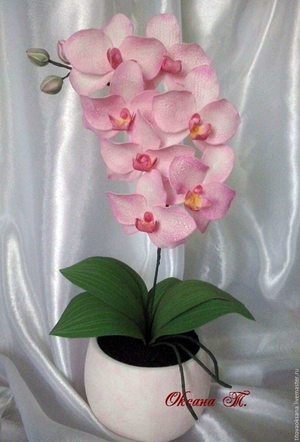 Как сделать орхидею из фоамирана своими руками: мастер-класс для начинающих