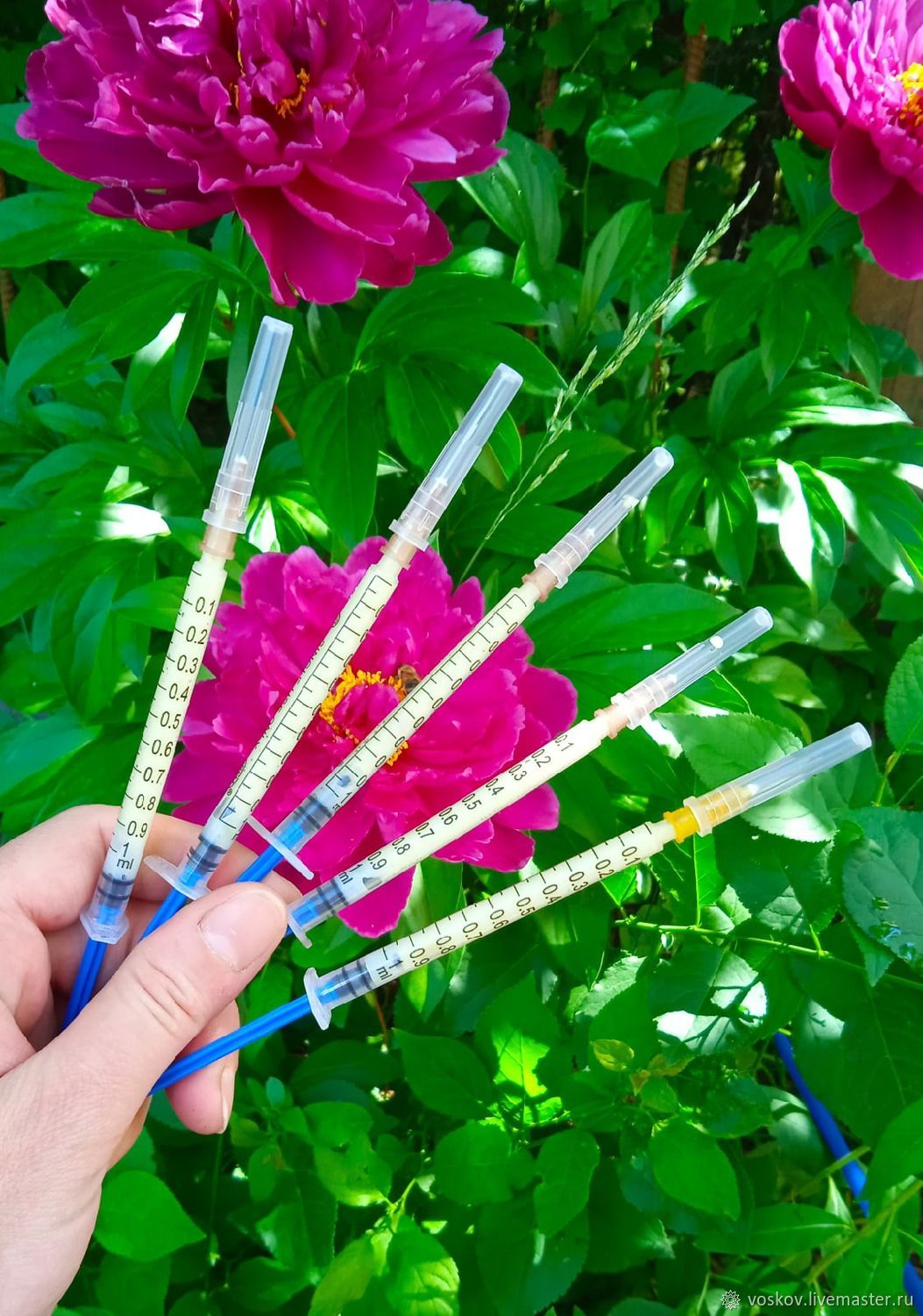 Маточное молочко нативное замороженное в интернет-магазине на Ярмарке ...