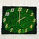Clock made of stabilized moss, Watch, Belgorod,  Фото №1