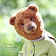Bear-Beetle (Teddy Bear dressed in a suit of beetle)
Teddy Bear artist: Olga Arkhipova