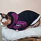 Clothing for cats 'Hoodie with hood - Champion'. Pet clothes. Happy-sphynx. My Livemaster. Фото №4