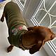 Dog Clothes Sweatshirt for Mini Dachshund Applique. Pet clothes. Happy-sphynx. Online shopping on My Livemaster.  Фото №2