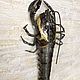 Crayfish. Статуэтки. soulhandmade 7. Ярмарка Мастеров.  Фото №4