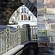 Заказать Прага, Карлов мост. Татьяна Колесникова (lotostata). Ярмарка Мастеров. . Картины Фото №3