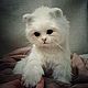 Teddy Animals: white kitten. Teddy Toys. Teddybeasts. Online shopping on My Livemaster.  Фото №2
