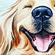  Собака в пруду среди кувшинок. Картины. Картина маслом    Алёна Данкова. Ярмарка Мастеров.  Фото №7