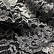 Кружевное полотно чёрное с серебряным  накатом. Артикул: BV1403014. Кружево. Ткани Италии. Ярмарка Мастеров.  Фото №6