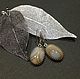 Silver earrings 'Creme brulee'. Earrings. Ludmila-Stones (Ludmila-Stones). My Livemaster. Фото №5