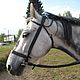 Bridle "Steppe" or "Cossack"with rein, Handmade, Bridles, Kirov,  Фото №1