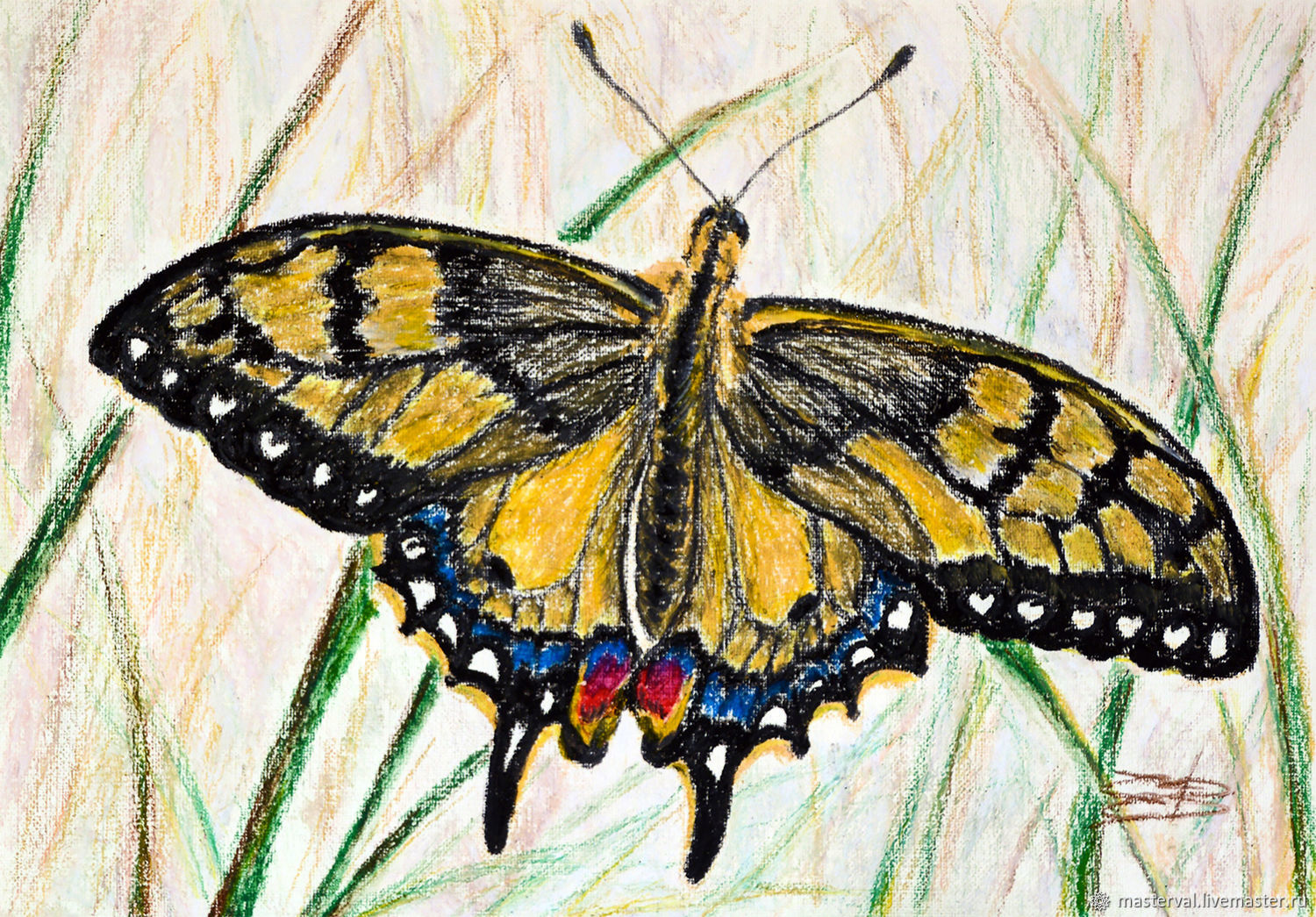 Нарисовать бабочку Махаон