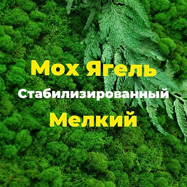 Цветы и флористика ручной работы. Ярмарка Мастеров - ручная работа Мох Ягель 1 кг Мелкий Стабилизированный. Handmade.