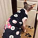 Clothing for cats 'Baby'. Pet clothes. Happy-sphynx. Online shopping on My Livemaster.  Фото №2