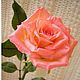 Керамическая флористика.Розовая роза, Цветы, Самара,  Фото №1