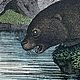 Винтаж: Антикварная литография 1880х годов. Картины винтажные. BERËZA ANTIQUES. Ярмарка Мастеров.  Фото №4