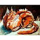 Painting red cat mainkun oil on canvas, Pictures, Ekaterinburg,  Фото №1