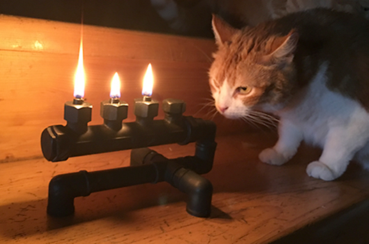 Мой профиль