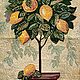  Панно гобеленовое "Лимонное дерево", Гобелен, Иваново,  Фото №1