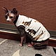 Clothing for cats 'by Mike LEO', Pet clothes, Biisk,  Фото №1