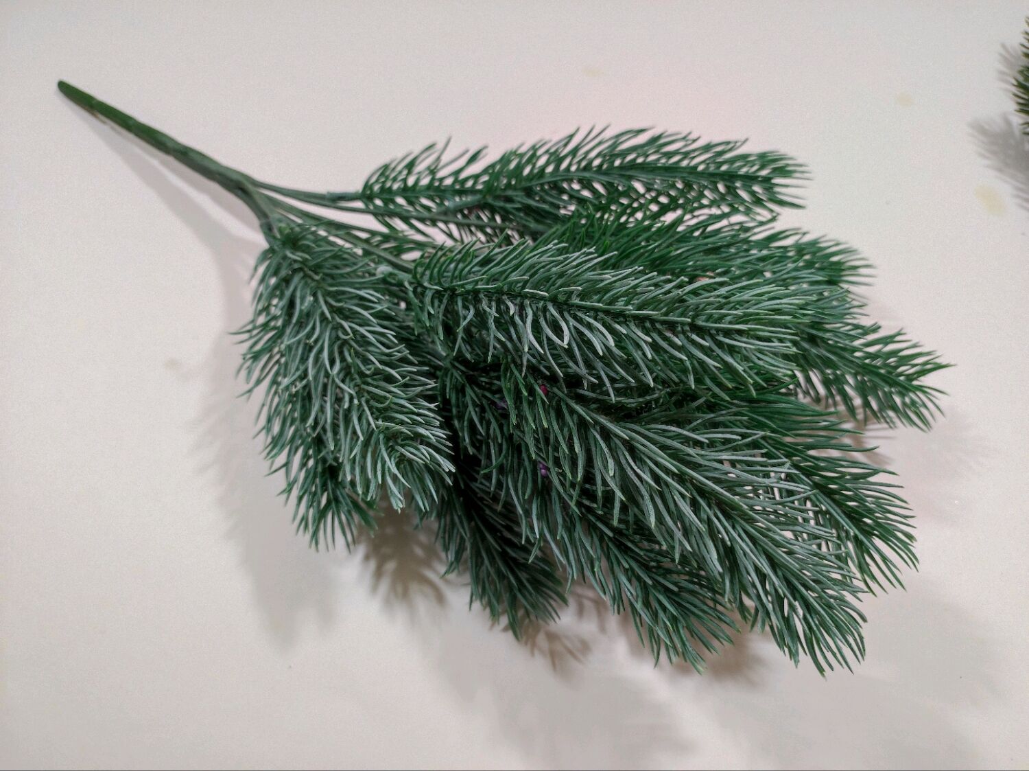 Букетная елочка для ботаника 9 букв. Елочка для букетов. Этно букеты с елкой. Зелень аспарагус триферн. Букетная елочка для ботаника 9 букв.