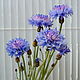 Cornflowers from polymer clay. Flowers. Marina Zhadan. Online shopping on My Livemaster.  Фото №2