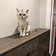 Комод из дерева. Комоды. WOOD LOFT (woodloftmsk). Ярмарка Мастеров.  Фото №4