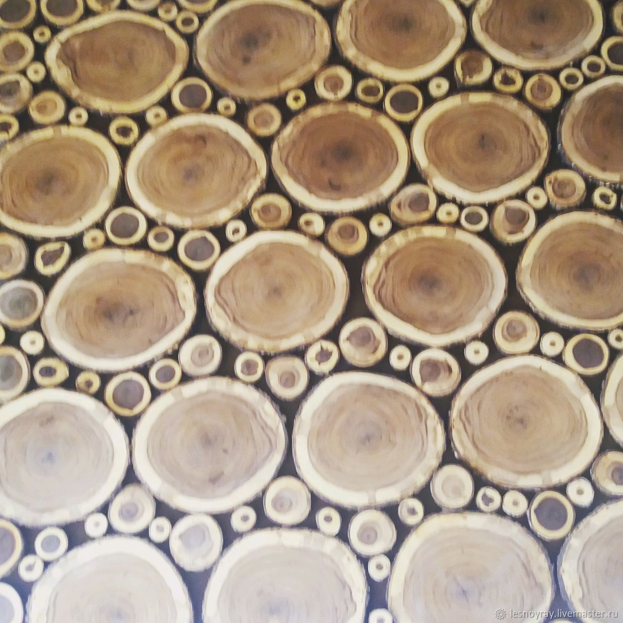 Купить Спилы Дерева Ростов На Дону